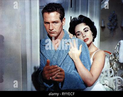 NEWMAN,TAYLOR, Cat On A Hot Tin Roof, 1958 Banque D'Images