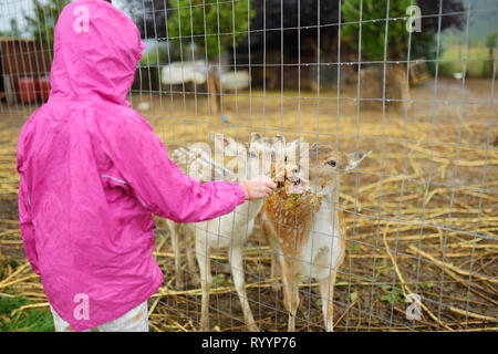 Jeune fille nourrir les cerfs au zoo sur un jour d'été pluvieux. Les enfants regardant les rennes dans une ferme. Les enfants s'amuser au zoo. Banque D'Images