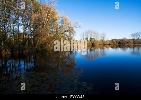 Vue sur le lac Laurent Rosaz, Langford Lacs, Wiltshire Wildlife Trust, l'Acorn, Wykye Valley, Wiltshire, Angleterre, Royaume-Uni, novembre 2017 Banque D'Images