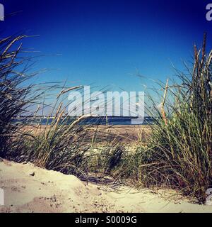 West Wittering Beach dunes de sable, West Sussex, Angleterre Banque D'Images