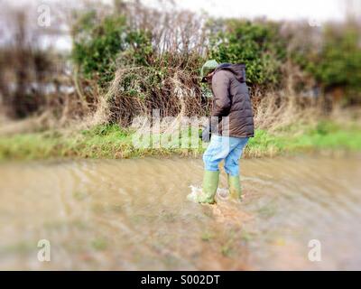 Jouant dans la rivière Lugg inondations, Sutton St Nicholas, Herefordshire Banque D'Images