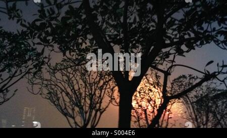 Prise sur le Nouvel An chinois sur la première de février. Derrière des arbres au jardin sur le toit d'un centre commercial. Il y avait tellement de gens aux bars du sifflet. C'était aussi une nuit de brouillard pendant et après le salon. Banque D'Images