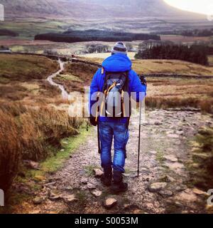 Balade dans le Yorkshire Dales. Banque D'Images