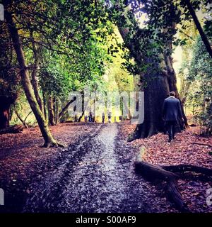 Marche matinale à Hampstead Heath Banque D'Images