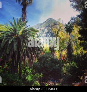 Nature sauvage, Chefchaouen, Maroc Banque D'Images