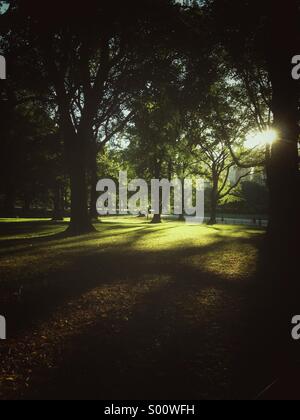 Central Park, New York. Banque D'Images