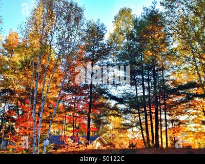 Paysage d'automne Banque D'Images