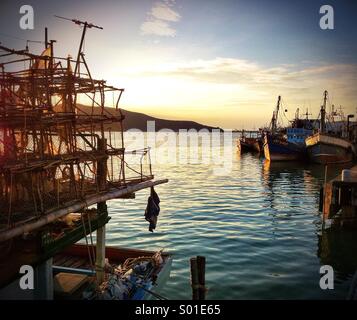 Crabe des Pots. Banque D'Images