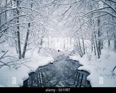 Les arbres couverts de neige le long de ruisseau en hiver paysage. Banque D'Images