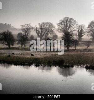 Tôt le matin, le gel, la vallée de Woodford, Wiltshire, Angleterre. Printemps 2014. Banque D'Images