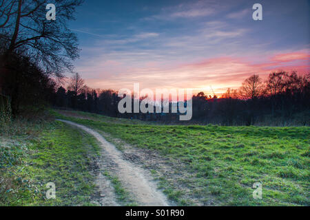 Coucher de soleil sur hampstead Banque D'Images