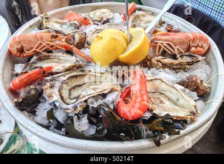 Les crustacés et les huîtres, plateau de fruits de mer à ice Banque D'Images