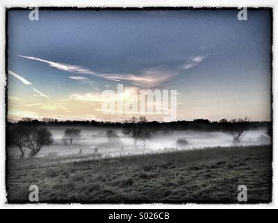 Matin brouillard dans la vallée, Suffolk, ciel bleu, soleil, arbres, champ, Banque D'Images