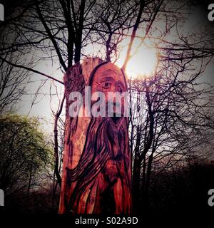 Sculpture sur bois de l'homme des forêts contre soleil à Yarrow Valley Country Park, Chorley Banque D'Images