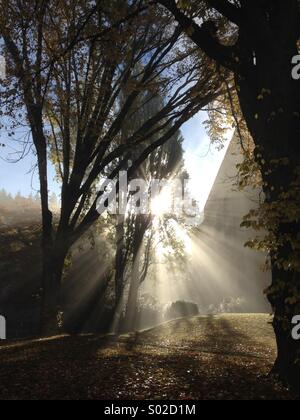Les rayons du soleil qui brillait à travers un arbre sur un superbe matin brumeux Banque D'Images