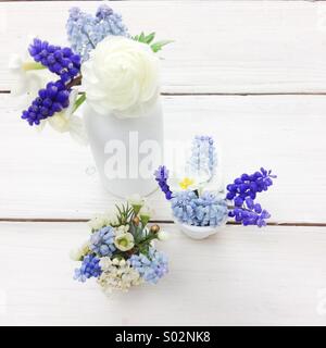 Trois petits bouquets de printemps bleu et blanc dans la bouteille de lait blanc. Muscaris bleus, narcisses, renoncules, fleurs de cire. Banque D'Images