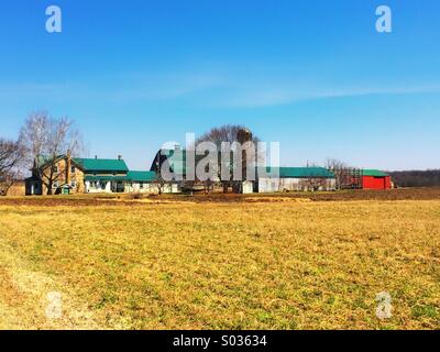 Ferme mennonite, à St Jacobs à Kitchener (Ontario) Banque D'Images