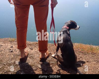 Les jambes de l'homme et la main avec chien haut sur falaise dominant l'océan dans le soleil. Banque D'Images