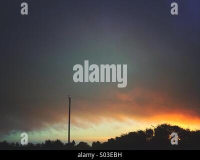 Le feu dans le ciel. Coucher du soleil à Cornwall, UK , d'arbres et de poteau télégraphique à l'avant-plan. Banque D'Images