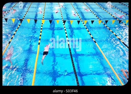 Les nageurs dans une piscine lors d'une compétition. Banque D'Images