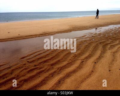 Balade sur la plage de cape cod. Banque D'Images