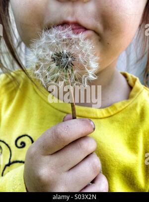 Fleur de pissenlit et fille Banque D'Images