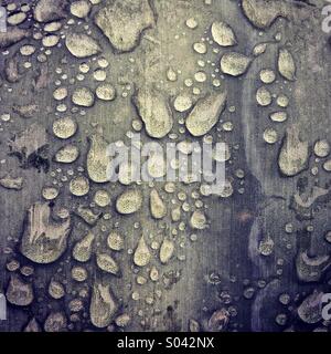 Gouttes de pluie sur feuille d'agave, Réserve Chaparri, Pérou Banque D'Images