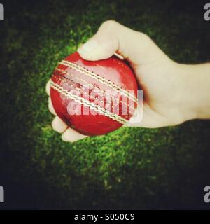 Tenant une balle de cricket Banque D'Images