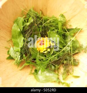 Salade de fleurs comestibles sauvages Banque D'Images