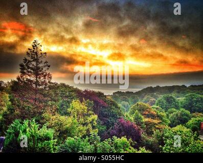 Paysage, St Margaret's Bay, Kent, Royaume-Uni. Banque D'Images