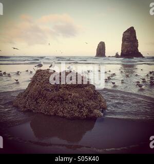 L'aube, Haystack Rock, Cannon Beach, Oregon Banque D'Images