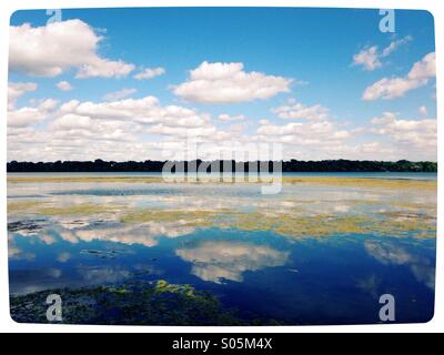 Puffy white clouds reflétée sur un lac bleu d'algues. Banque D'Images