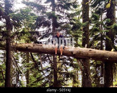 Un homme est assis sur un arbre tombé haute au-dessus de la terre dans le bois de l'Oregon. Banque D'Images