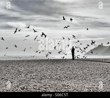 Homme sur la plage Banque D'Images