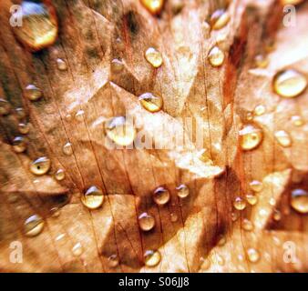 La texture des gouttes d'eau Banque D'Images