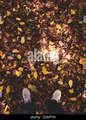 Un homme debout les pieds dans les feuilles d'automne au début de l'automne. Banque D'Images