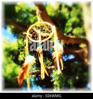 Un Suncatcher ou Dreamcatcher accrochée à un arbre qui souffle dans la brise Banque D'Images