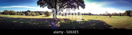 Vue panoramique sur le Golf à Beckenham Place Park Banque D'Images