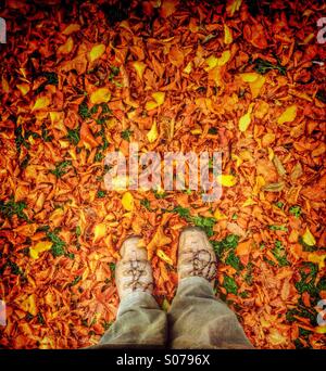Debout les pieds dans l'automne les feuilles tombées Banque D'Images