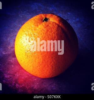 Bug sur des fruits orange cold Banque D'Images