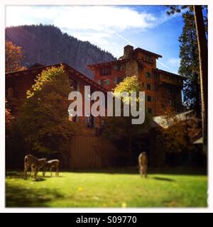 Ahwahnee Hotel en automne avec les cerfs mangent de l'herbe en face de lui. La vallée Yosemite, Yosemite National Park, Mariposa County, Californie, USA Banque D'Images