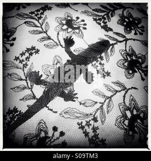 Lézard sur un tissu de dentelle Banque D'Images