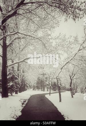 Walking in a Winter Wonderland Banque D'Images