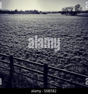 Paysage noir et blanc Banque D'Images