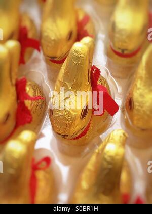 Lapins de Pâques au chocolat Banque D'Images