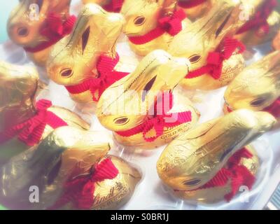 Lapins de Pâques au chocolat Banque D'Images