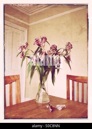 Un Vase à fleurs de lys mort, assis sur une table en bois, entourée de deux chaises, à l'intérieur d'une salle à manger. Un effet vintage photo. Crédits photos - © COLIN HOSKINS. Banque D'Images