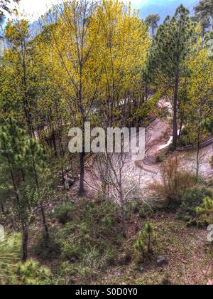 Route sinueuse dans les montagnes du Pakistan Murree Banque D'Images