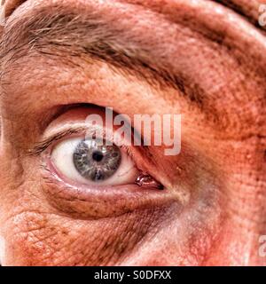 Close up de mâles adultes eye Banque D'Images