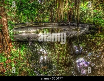 Pont en bois blanc Bayou Banque D'Images
